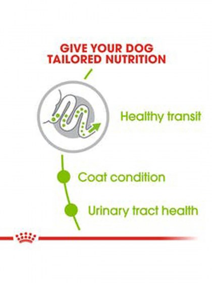 SHN XSMALL ADULT 500G_web5